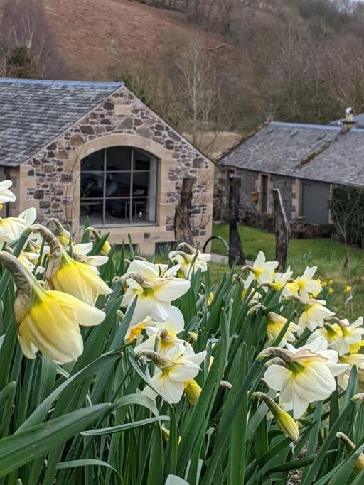 LindoresWoodmill Arches - Designer Barn Conversion For Two公寓 外观 照片